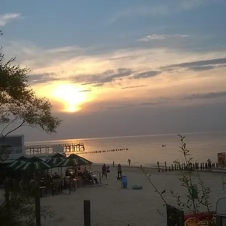 Florian - Tuz Przy Plazy